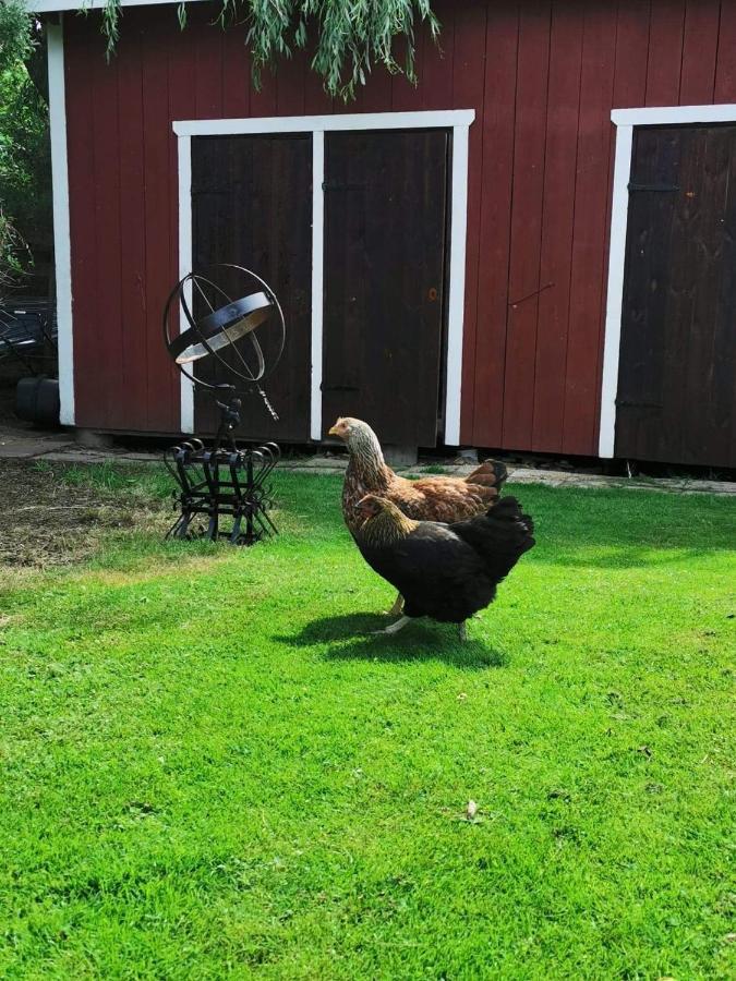 Ferienhaus Liverpoolsstugan Motala